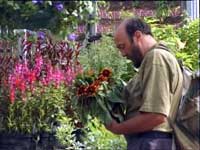 man in garden centre