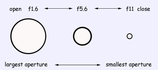 Iris and f number